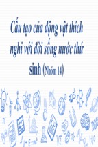 Bài thuyết trình nhóm  cấu tạo của động vật thích nghi với đời sống nước thứ sinh