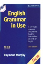 English grammar in use intermediate