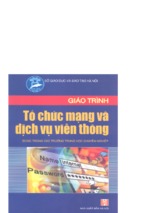 Thcn.giáo trình tổ chức mạng và dịch vụ viễn thông   ks.phạm thị minh nguyệt, 316 trang