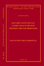 Phát triển nguồn nhân lực tại khối tín dụng tiêu dùng ngân hàng việt nam thịnh vượng