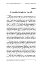 Nghiên cứu ổn định kết cấu dạng tấm không hoàn hảo có độ võng lớn và có chiều dày thay đổi