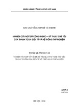 đề tài nghiên cứu khoa học nghiên cứu một số vấn đề kỹ thuật, công nghệ chủ yếu trong thương mại điện tử và triển khai thử nghiệm (nghiên cứu một số công nghệ   kỹ thuật chủ yếu của thanh toán điện tử và hệ thống thử nghiệm)