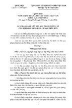 Luat ban hanh vbqppl hdnd ubnd nam 2004 (l31qh)