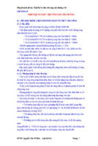 Tổ chức thi công nền đường ô tô