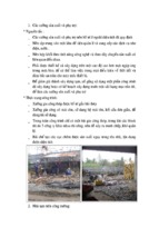 An toàn lao động công trình chung cư river view   p.thảo điền   q2