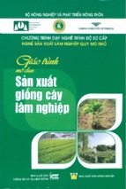 Giáo trình mo đun sản xuất giống cây lâm nghiệp