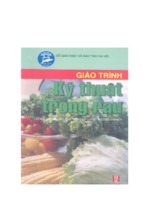 Giáo trình kỹ thuật trồng rau phần một đại chương về sản xuất rau