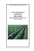 Giáo trình trồng chăm sóc đậu tương, lạc