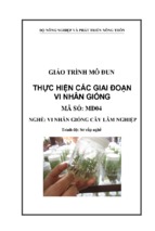 Giáo trình mudun thực hiện các giai đoạn vi nhân giống nghề vi nhân giống cây lâm nghiệp