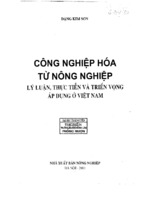 Công nghiệp hóa từ nông nghiệp   lý luận thực tiễn và triển vọng áp dụng ở việt nam.