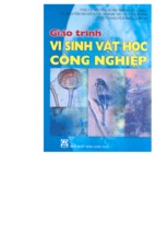 Giáo trình vi sinh vật học công nghiệp