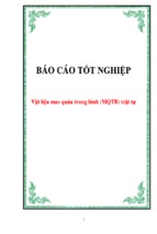 Khóa luận vật liệu mao quản trung bình (mqtb) trật tự