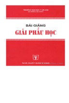 Bài giảng giải phẫu học