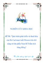 Tiểu luận quá trình phát triển và thoái hóa của đá cacbonat tuổi miocen trên đới nâng tri tôn phần nam bể trầm tích sông hồng