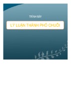 Trình bày lý luận thành phố chuỗi