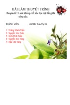 Lưới khống chế trắc địa mặt bằng thi công cầu