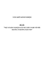 Sáng kiến kinh nghiệm một số kinh nghiệm giúp trẻ thích nghi với môi trường ở trường mầm non