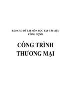 Báo cáo môn học tập tài liệu công cộng đề tài công trình thương mại