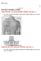 Vị trí huyệt vùng lưng