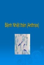 Bệnh nhiệt thán