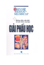 Giải phẫu học