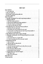 Tiểu luận giải pháp hỗ trợ trực tuyến trong thương mại điện tử