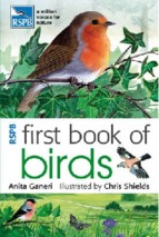 Ebook first book of birds