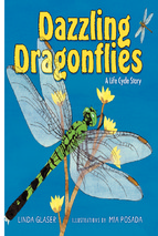 Ebook dazzling dragonflies
