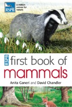 Ebook first book of mammals