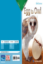 Ebook egg to owl