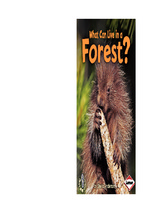 Ebook what can live in a forest