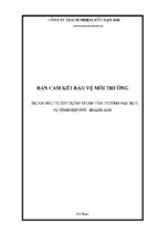 Bản cam kết bảo vệ môi trường đầu tư xây dựng trung tâm thương mại dịch vụ tổng hợp ô tô Hoàng Anh