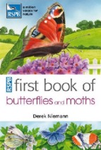 Ebook first book of butterflies and moths