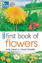 Ebook first book of flowers