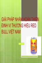 Giải pháp nhằm hoàn thiện định vị thương hiệu red bull việt nam