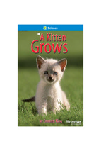 Ebook a kitten grows
