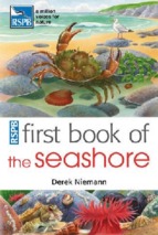 Ebook first book of seashore