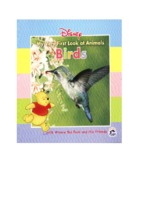 Disney   my very first look at animals birds