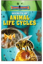 Ebook secrects of animal life cycles