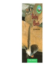 Ebook baby birds   kendrick west