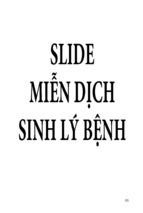 Slide miễn dịch sinh lý bệnh