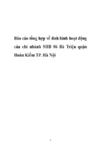 Báo cáo tổng hợp về tình hình hoạt động của chi nhánh shb 86 bà triệu quận hoàn kiếm tp. hà nội