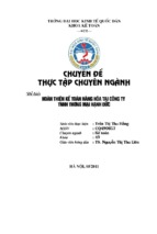 Luận văn kế toán hoàn thiện kế toán hàng hóa tại công ty tnhh tm hạnh đức