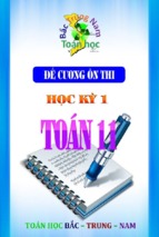 Đề cương ôn thi HK1 Toán 11