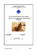 Bài tập nhóm marketing nông nghiệp giá cả và marketing trong nông nghiệp