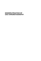 Modern practice of gas chromatography fourth edition   grobert