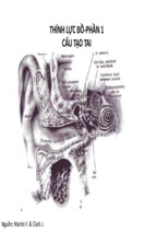 Bài giảng thính lực đồ phần 1   cấu tạo tai