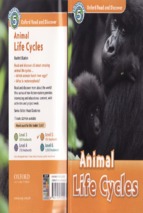 Animal life cycles