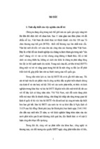 Nội dung cơ bản của pháp luật việt nam và pháp luật hoa kỳ về bảo hộ nhãn hiệu hàng hóa