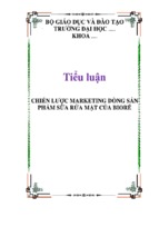 Tiểu luận Chiến lược marketing dòng sản phẩm sữa rửa mặt của Bioré